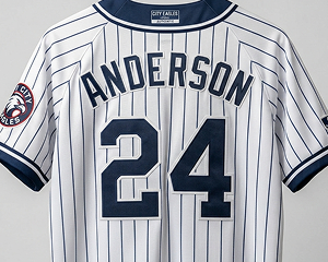 Custom Baseball Jersey (Sublimation + Embroidery)